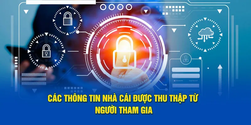 Các thông tin nhà cái được thu thập từ người tham gia