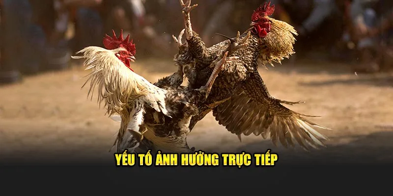 Yếu tố ảnh hưởng trực tiếp